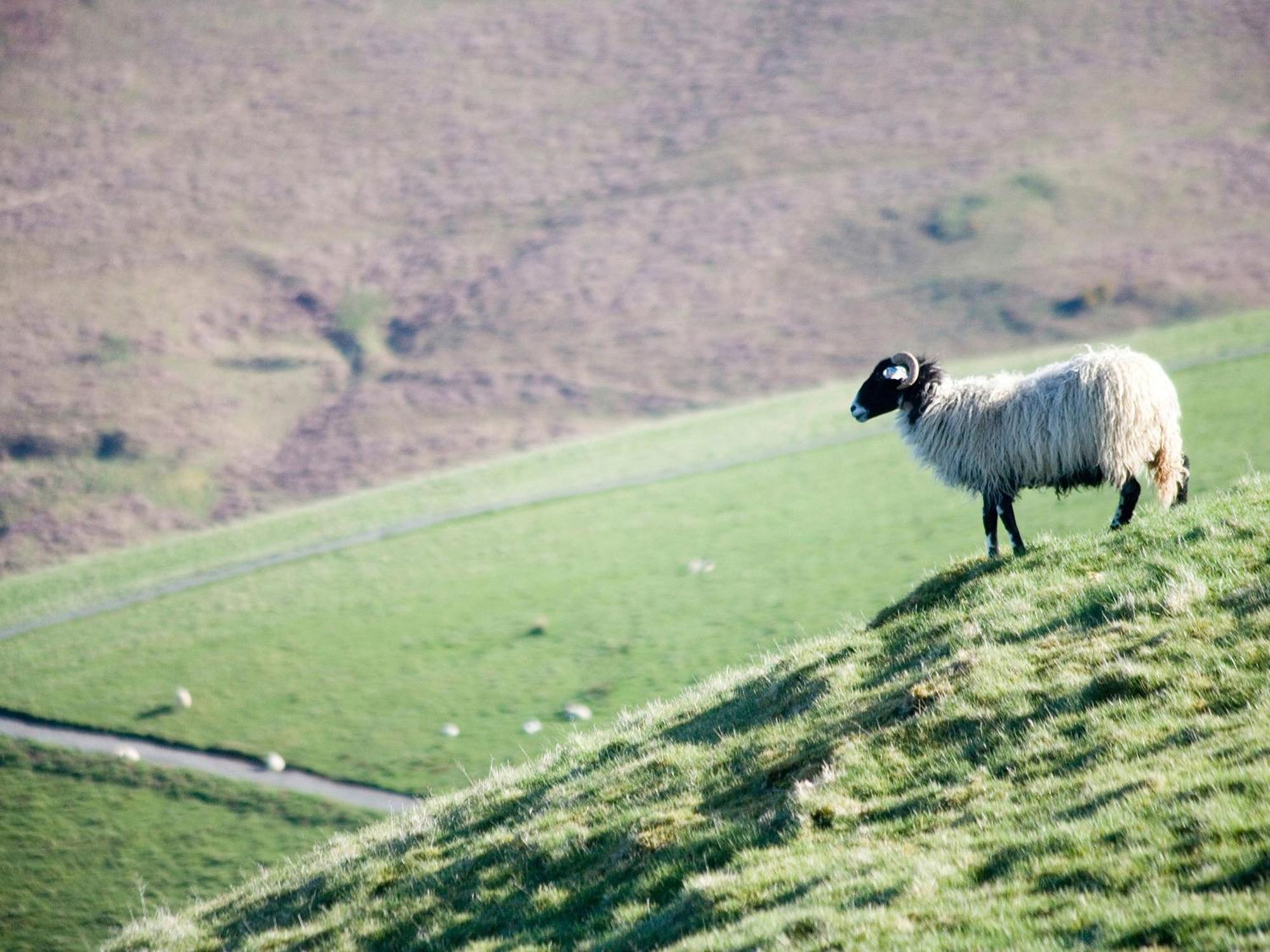 Serendipity Keswick  Eksteriør bilde